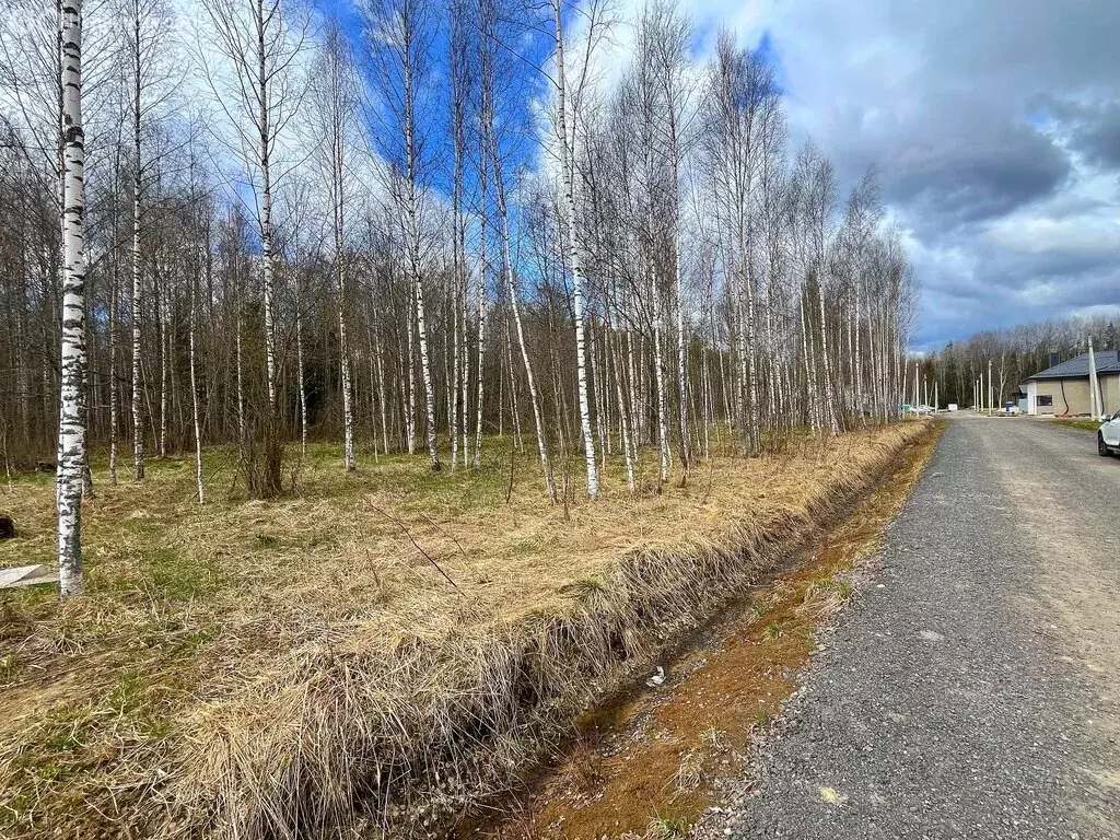 Участок в Колтушское городское поселение, территория Березовка ДНП, ... - Фото 1