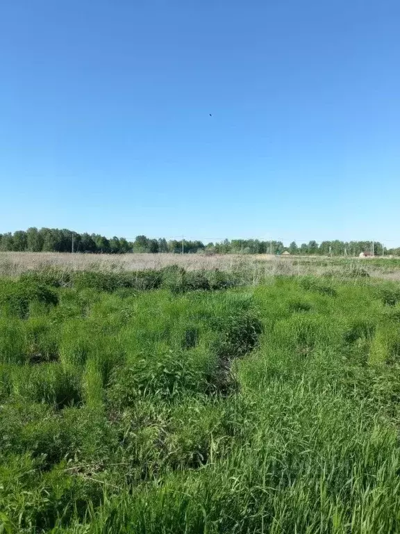 участок в тюменская область, тюменский район, д. решетникова (8.34 . - Фото 0