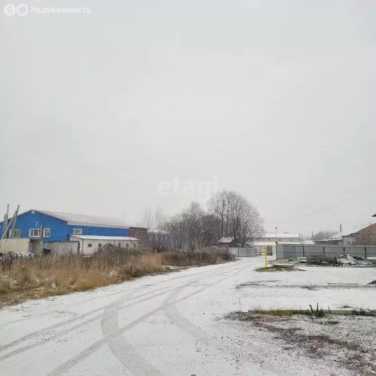 Участок в Владимирская область, Муром (22.5 м) - Фото 1