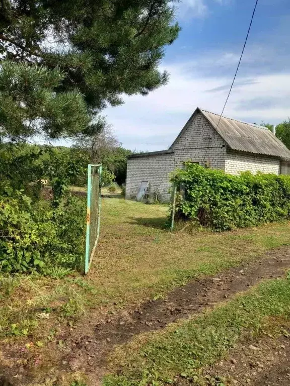 Участок в Воронежская область, Воронеж Лесовод-2 СНТ, ул. Березовая ... - Фото 0