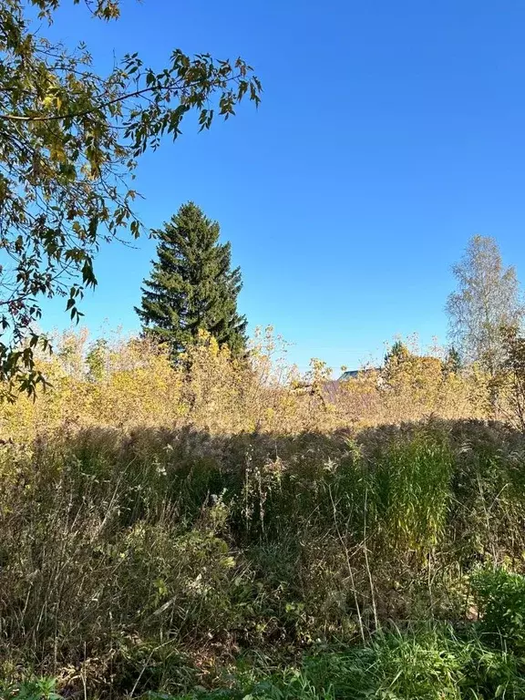 Участок в Нижегородская область, Богородский муниципальный округ, с. ... - Фото 1