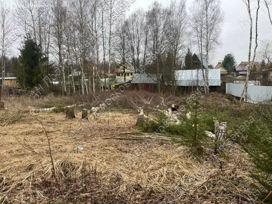 Участок в Одинцовский городской округ, садовое некоммерческое ... - Фото 1