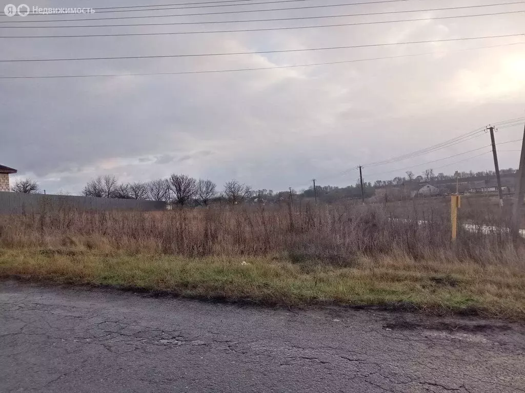 Участок в Ракитянский район, городское поселение Пролетарский (10 м) - Фото 2