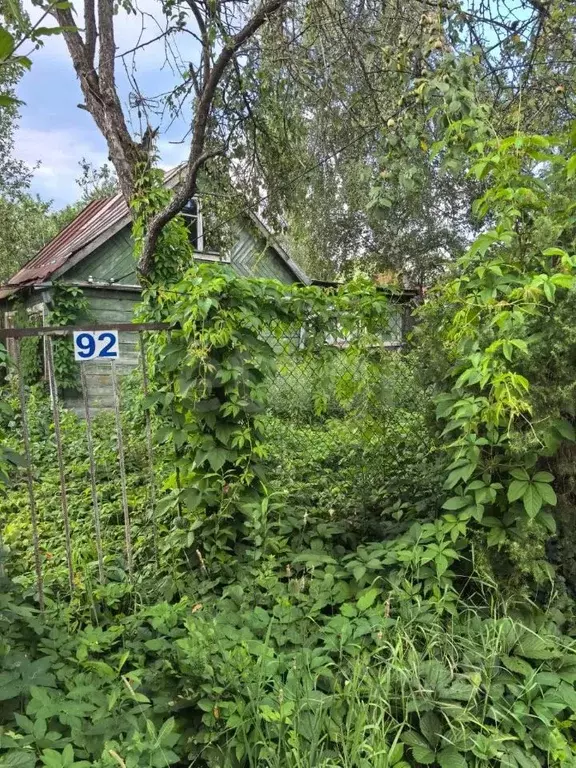Участок в Москва Дружный СНТ, 92 (8.15 сот.) - Фото 1