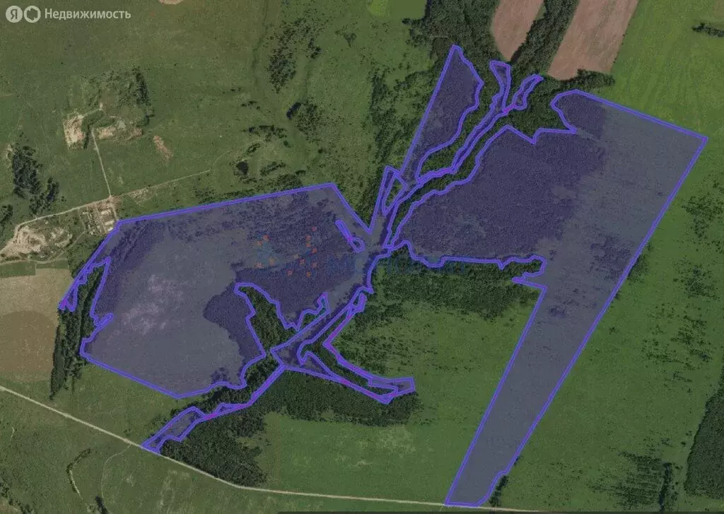 Участок в Нижегородская область, село Дивеево (195 м) - Фото 1