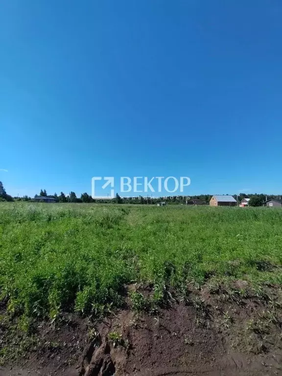 Участок в Костромская область, Кострома ул. Героев (7.5 сот.) - Фото 1