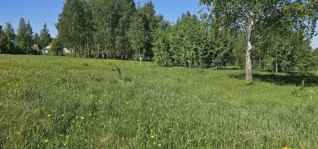 Участок в Московская область, Луховицы  (12.61 сот.) - Фото 1