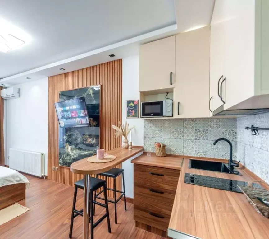 Студия Краснодарский край, Сочи Светлана мкр, ул. Депутатская, 10Е ... - Фото 1