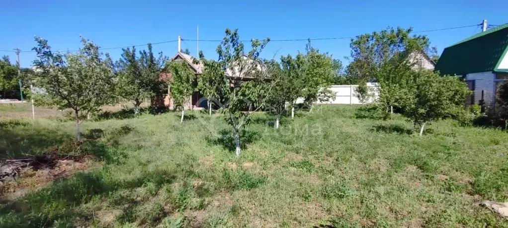 Дом в Волгоградская область, Волгоград Березка СНТ, ул. Элеваторная ... - Фото 0