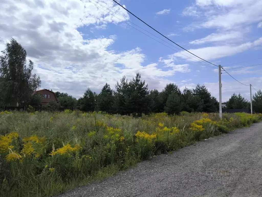 Участок в Московская область, Раменский муниципальный округ, с. Речицы ... - Фото 2