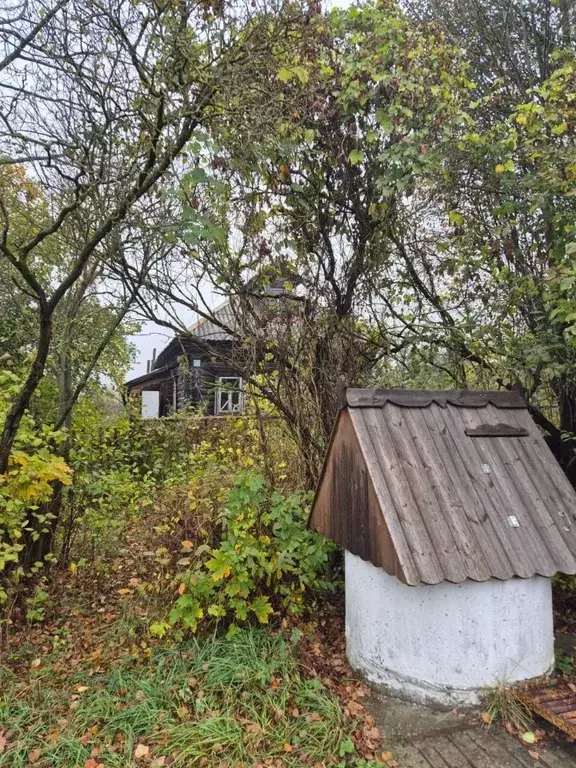 Участок в Московская область, Одинцовский городской округ, д. Чапаевка ... - Фото 1