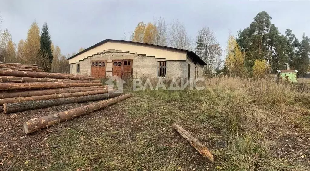 Производственное помещение в Владимирская область, Собинский ... - Фото 0