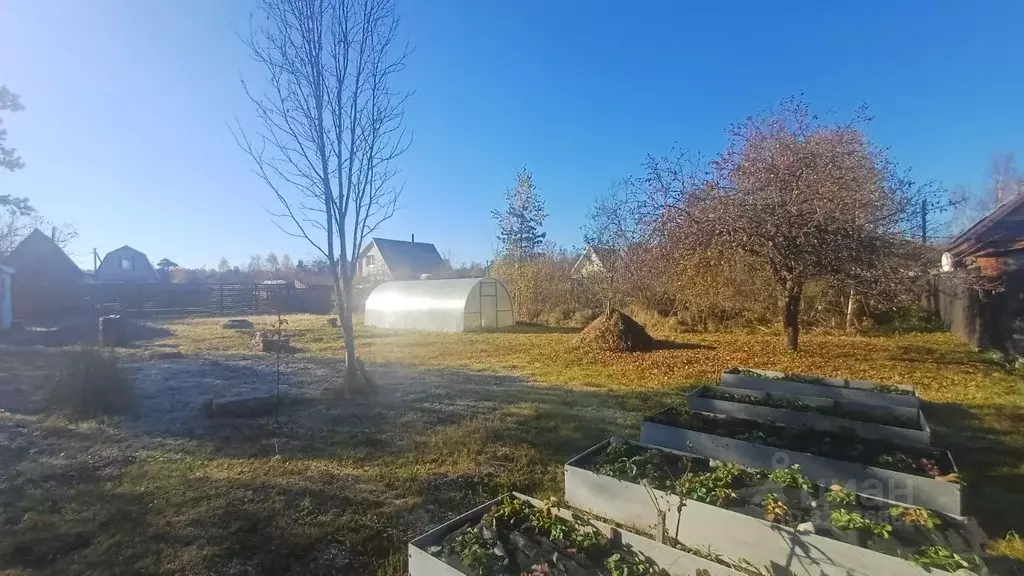 Участок в Псковская область, Псковский район, Ядровская волость, ... - Фото 2