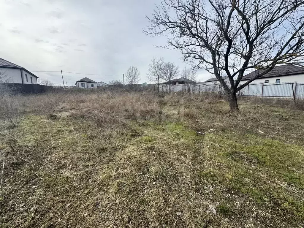 Участок в Краснодарский край, Новороссийск Золотая рыбка СНТ, проезд ... - Фото 2