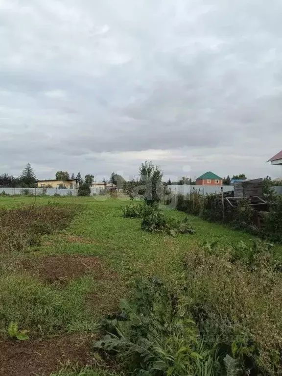 Участок в Омская область, Омский район муниципальный округ, пос. ... - Фото 1