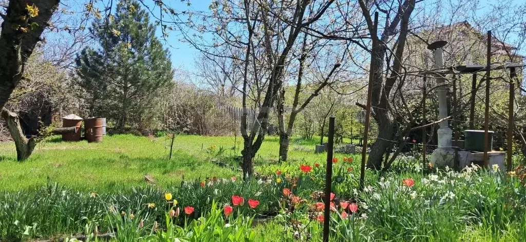 Дом в Севастополь Катюша садоводческое товарищество, 80 (25 м) - Фото 1