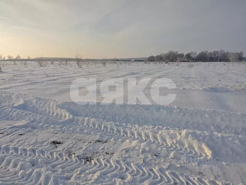 Участок в Московская область, Коломна городской округ, д. Андреевка 19 ... - Фото 2