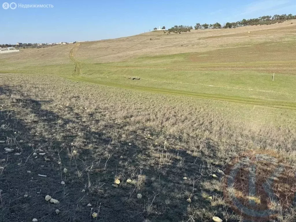 Участок в Трудовское сельское поселение, село Строгоновка, улица ... - Фото 0