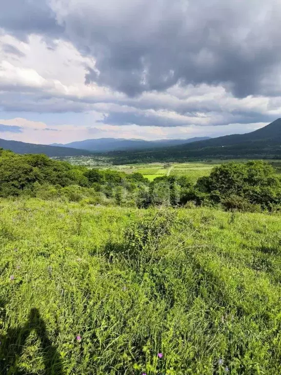 Участок в Адыгея, Майкопский район, Даховская ст-ца  (305.0 сот.) - Фото 0