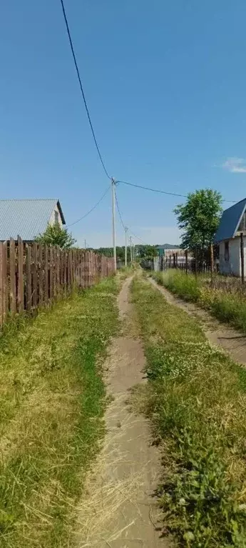Участок в Алтайский край, Первомайский район, с. Санниково, Овощевод ... - Фото 0