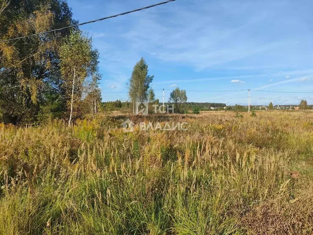 Участок в Московская область, Ногинск Богородский городской округ, ул. ... - Фото 1