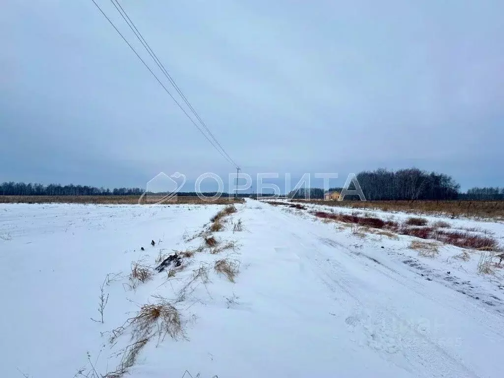 Участок в Тюменская область, Нижнетавдинский район, Сочинские СНТ 7-я ... - Фото 0