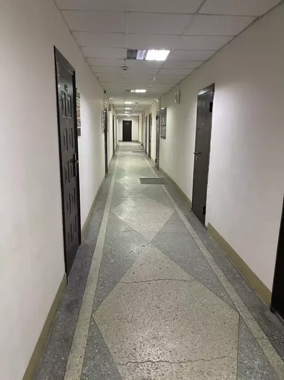 Офис в Новосибирская область, Бердск ул. Ленина, 89/9 (18 м) - Фото 1