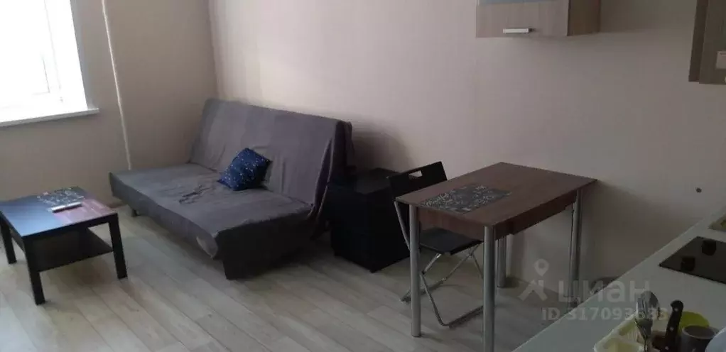 Студия Пермский край, Пермь ул. Куйбышева, 109А (26.0 м) - Фото 1