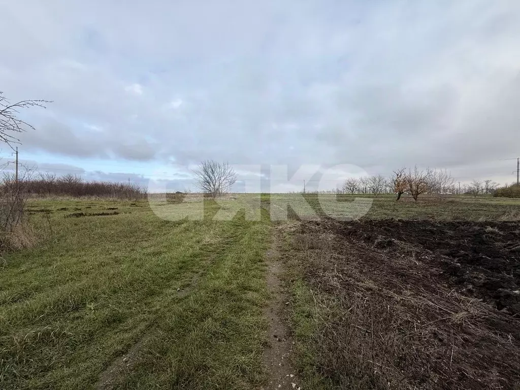 Участок в Краснодарский край, Кореновское городское поселение, ... - Фото 2