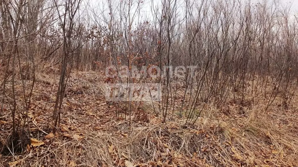 Участок в Приморский край, Артем Глобус-1 СТ,  (10.0 сот.) - Фото 1