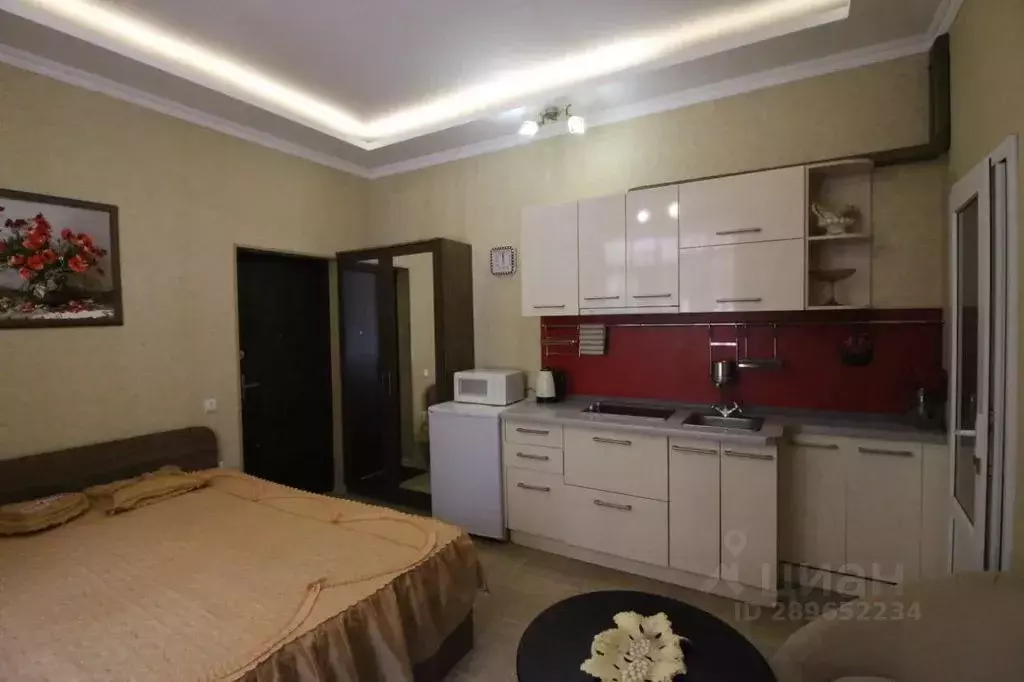 Студия Крым, Ялта пер. Лавровый, 5 (27.0 м) - Фото 1