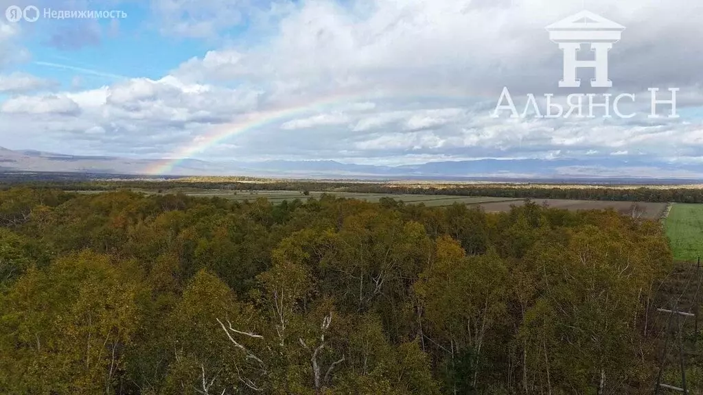 Участок в Камчатский край, Елизовский муниципальный округ, посёлок ... - Фото 2