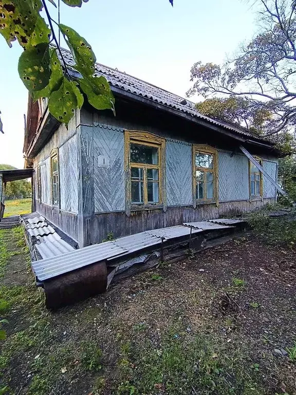 Дом в Еврейская автономная область, Биробиджан  (52 м) - Фото 1