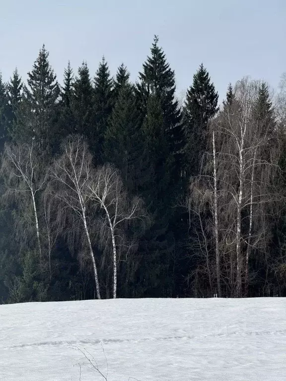 Участок в Московская область, Подольск городской округ, Пузиково кп 41 ... - Фото 1