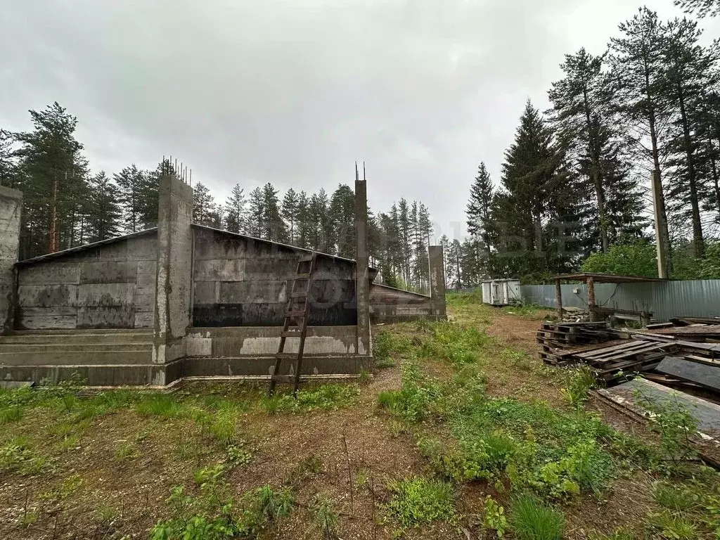 Участок в Новгородская область, Окуловка ул. Кропоткина (50.0 сот.) - Фото 0