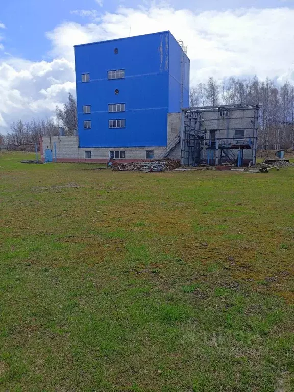Производственное помещение в Нижегородская область, Лукоянов ул. ... - Фото 2
