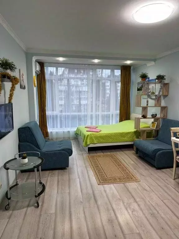 Студия Краснодарский край, Сочи Светлана мкр, ул. Депутатская, 10 ... - Фото 1