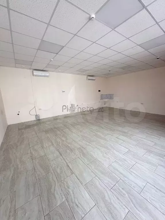 Сдам помещение свободного назначения, 45.6 м - Фото 0