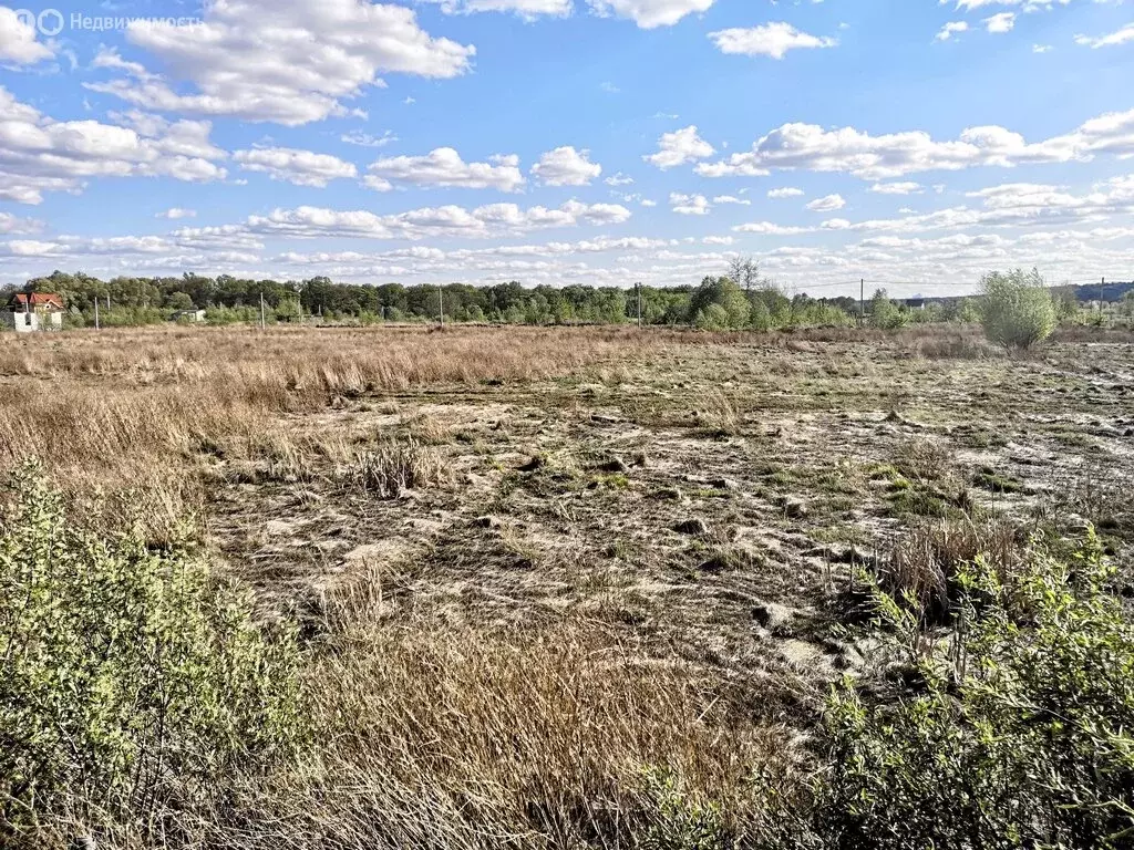 Участок в село Берёзово, Лесная улица, 27 (10 м) - Фото 1