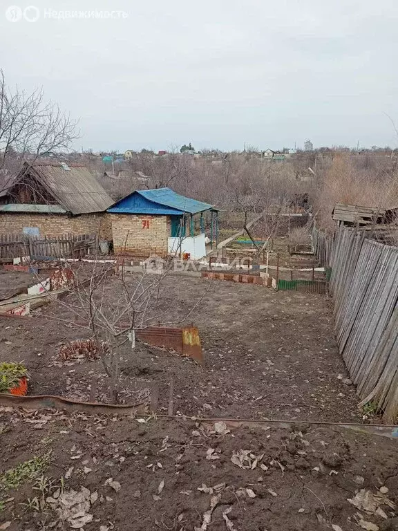 Участок в Быково-Отрогское муниципальное образование, СНТ Химик-2, ... - Фото 0