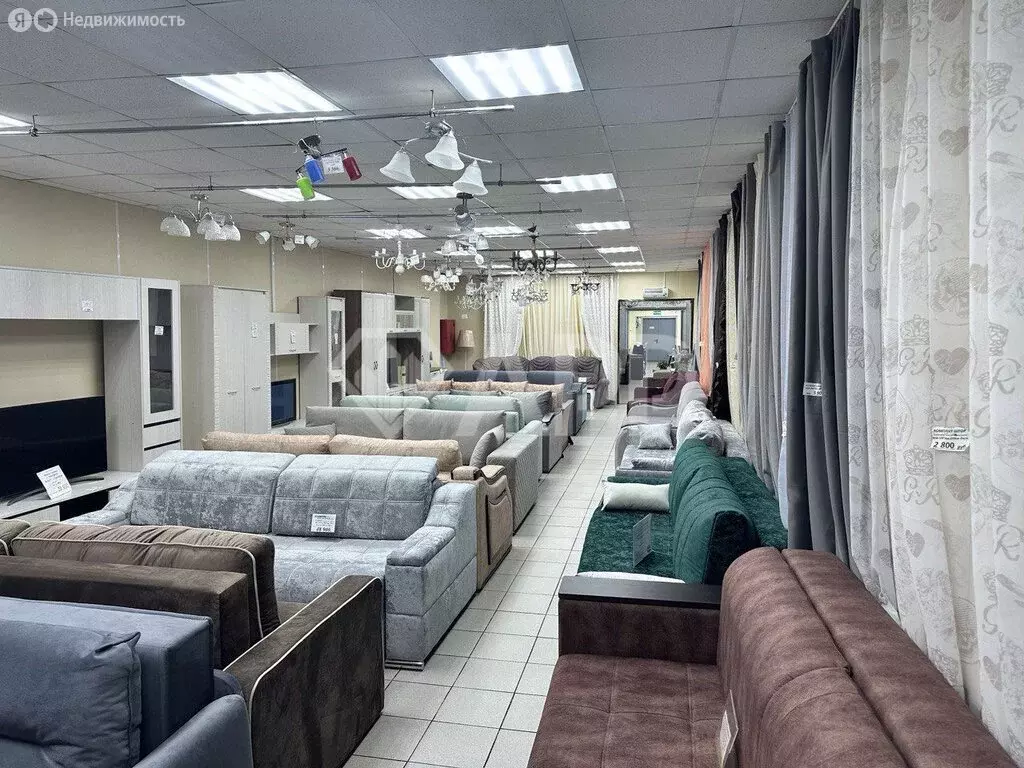 Помещение свободного назначения (250 м) - Фото 1