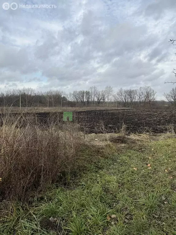 Участок в Рождественка, Лесная улица (15 м) - Фото 2