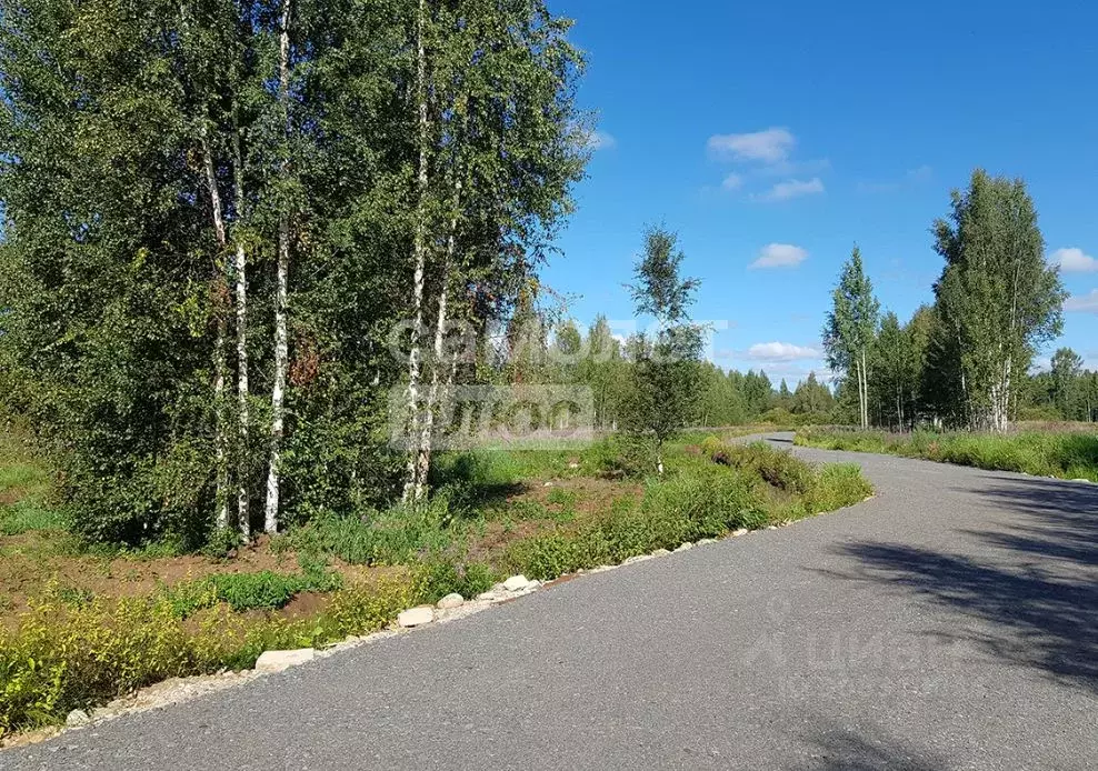 Участок в Ленинградская область, Всеволожский район, Куйвозовское ... - Фото 1