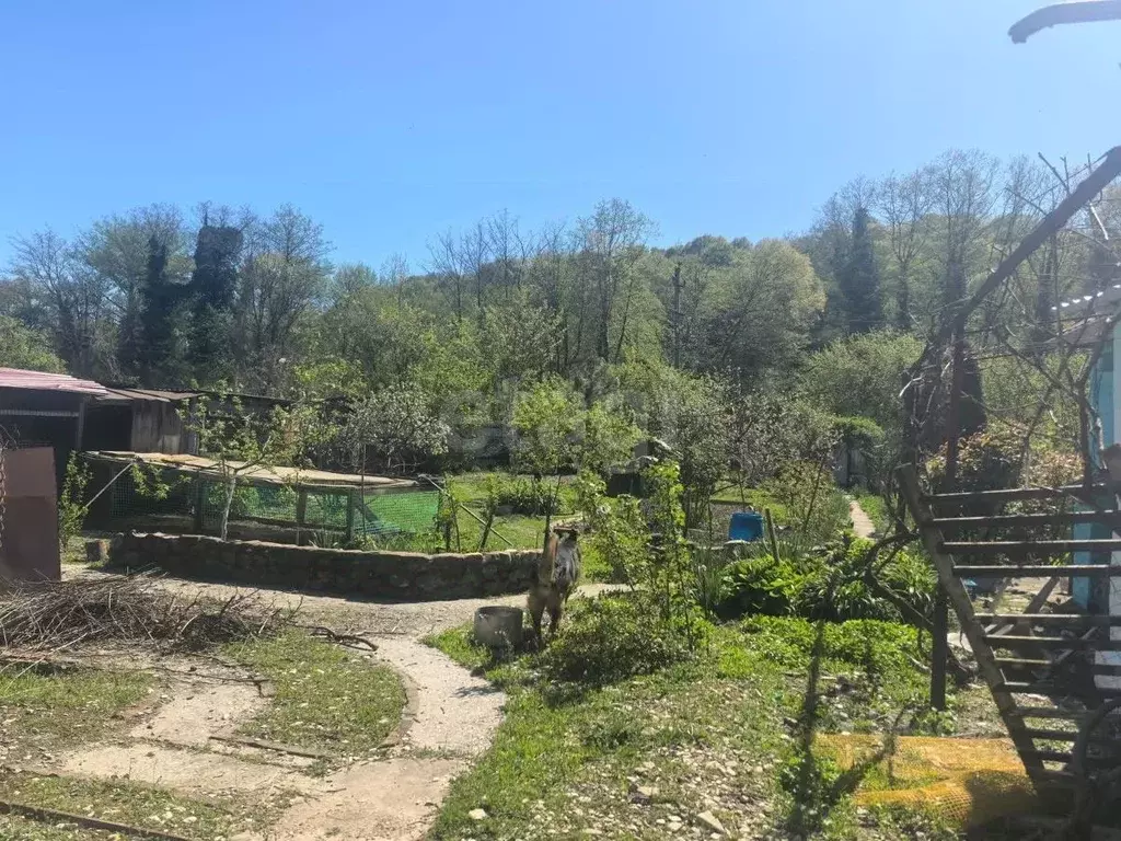 Дом в Краснодарский край, Геленджик городской округ, с. Михайловский ... - Фото 2