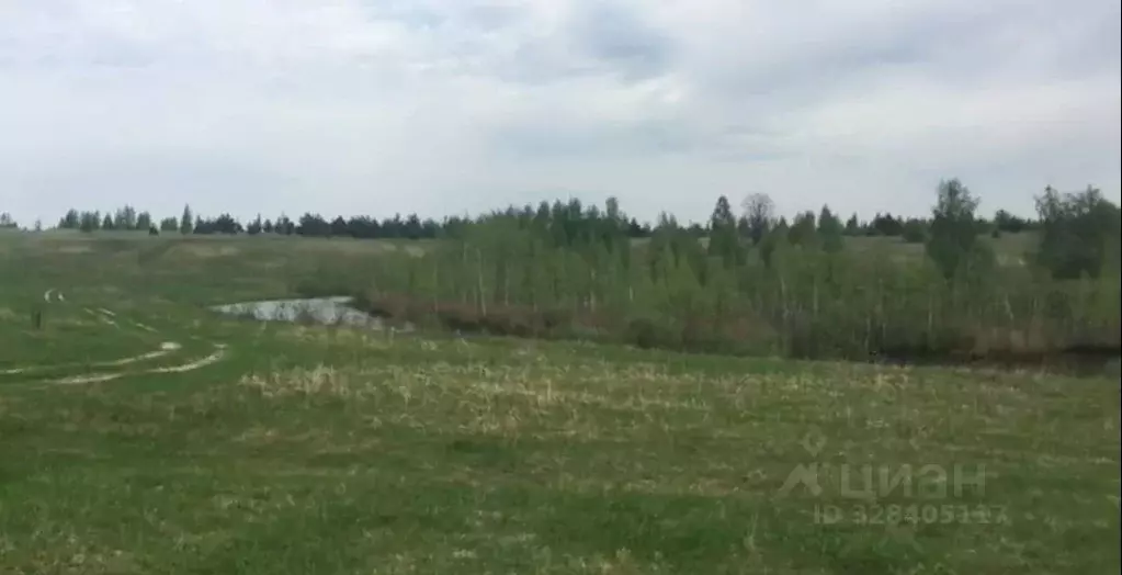 Участок в Рязанская область, Спасский муниципальный округ, с. Новый ... - Фото 2