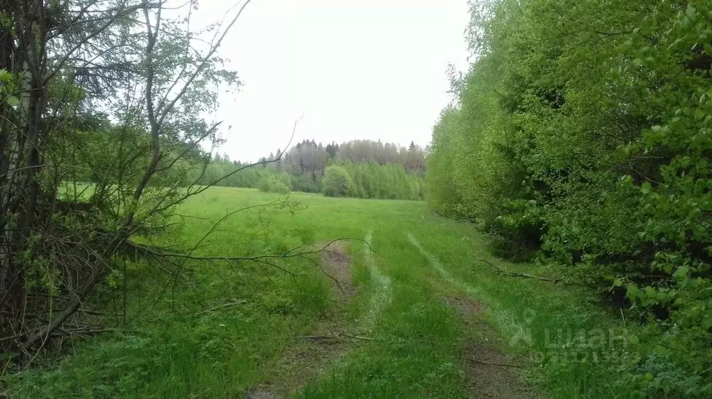 Участок в Ленинградская область, Выборгский район, Полянское с/пос, ... - Фото 0