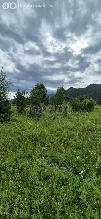 Участок в Чемальский район, село Анос (21.35 м) - Фото 1