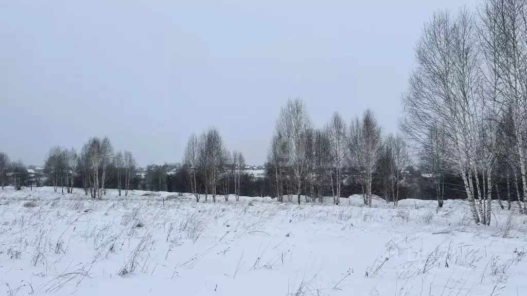 Участок в Кемеровская область, Новокузнецкий муниципальный округ, с. ... - Фото 1