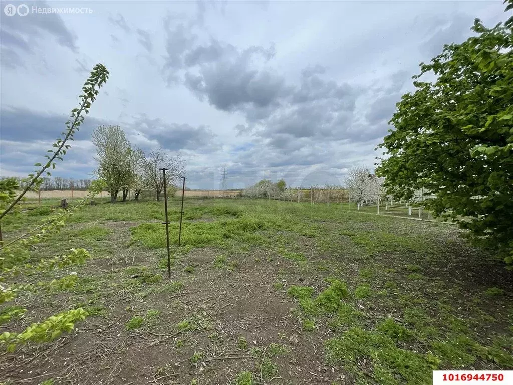 Участок в Новотитаровское сельское поселение, хутор Осечки, 3 (11 м) - Фото 1