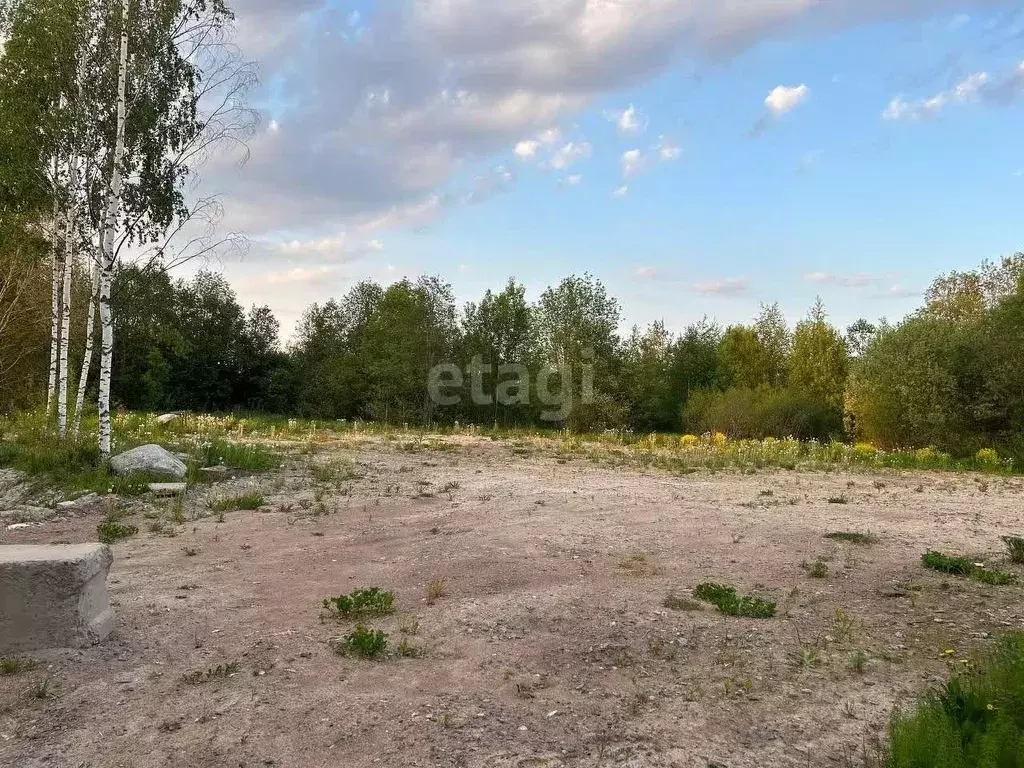 Участок в Ленинградская область, Тосненский район, Ульяновское ... - Фото 1